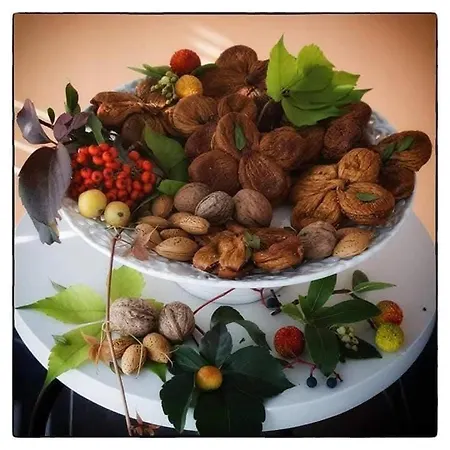 Xenia * Castrovillari