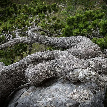 Apartment Xenia Castrovillari