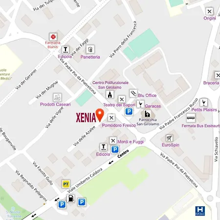 Xenia *