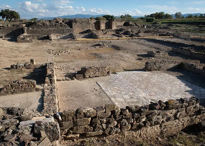 Xenia * קסטרווילארי